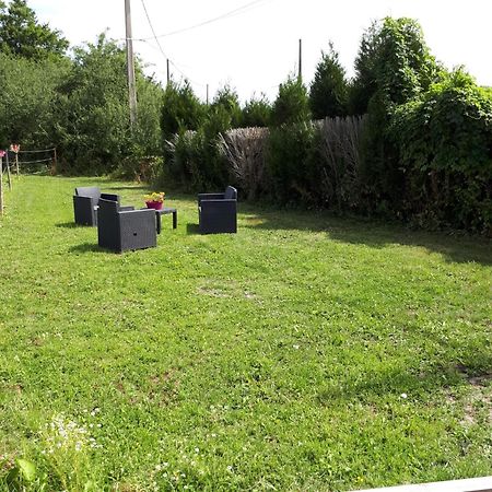 Au Paradis Des Crins Studio Rez De Chaussee Avec Jardin Et Un Autre Studio En Duplex Avec Terrasse Leilighet Templeuve-en-Pevele Eksteriør bilde