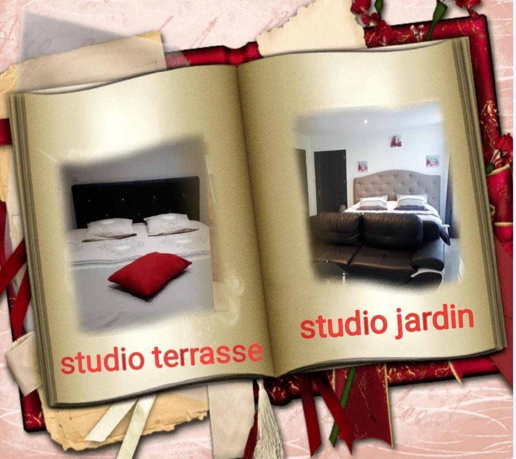 Au Paradis Des Crins Studio Rez De Chaussee Avec Jardin Et Un Autre Studio En Duplex Avec Terrasse Leilighet Templeuve-en-Pevele Eksteriør bilde