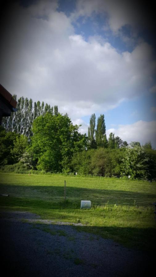 Au Paradis Des Crins Studio Rez De Chaussee Avec Jardin Et Un Autre Studio En Duplex Avec Terrasse Leilighet Templeuve-en-Pevele Eksteriør bilde