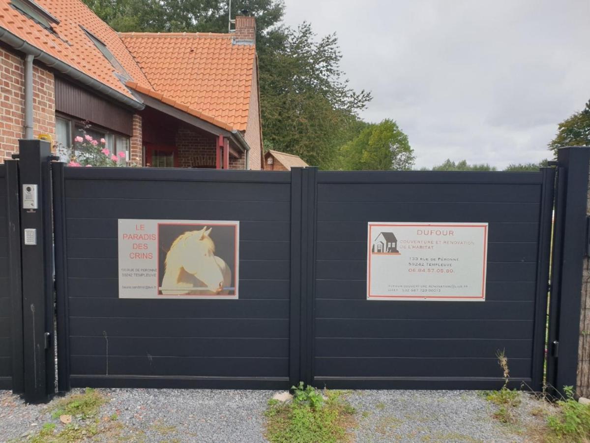 Au Paradis Des Crins Studio Rez De Chaussee Avec Jardin Et Un Autre Studio En Duplex Avec Terrasse Leilighet Templeuve-en-Pevele Eksteriør bilde